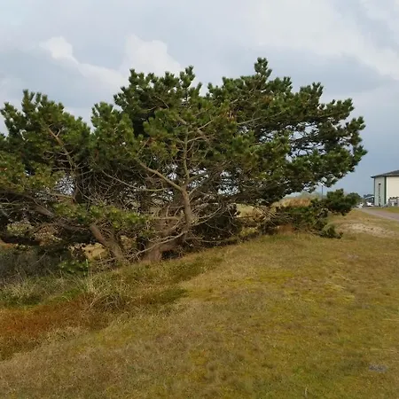 Spiekerooger Leidenschaft Hotel